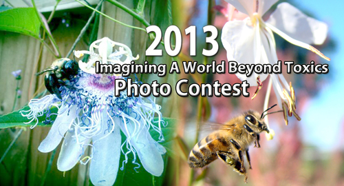 2013_PhotoContestBannerGraphic_v4