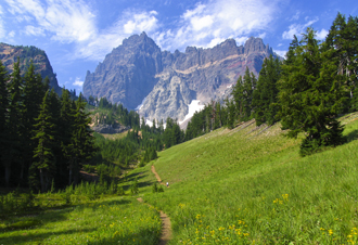 Mountain Meadow by Carla Hervert
