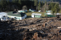 Clearcut near Triangle Lake School