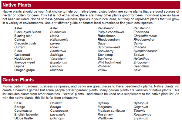 Bee Friendly Plants Chart