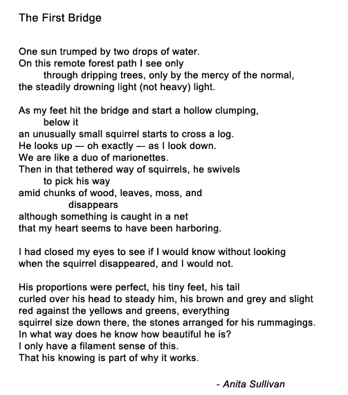 forest and river poem