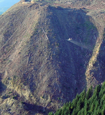 Clearcut Spraying in Oregon forest