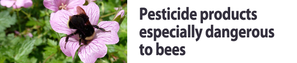 Dangerous pesticides to avoid