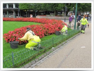 NorwayWeedPullers_BekkiBruckner_9-9-14_CROP