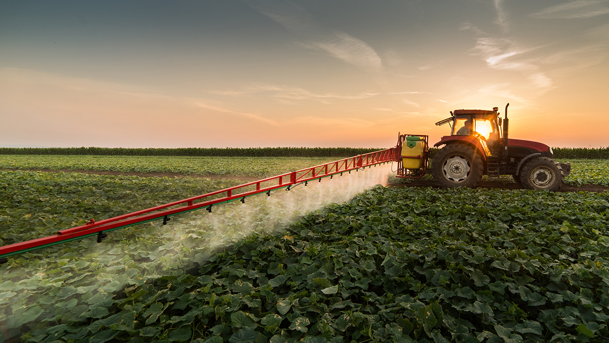 Tractor spraying pesticides on vegetable field with sprayer at s