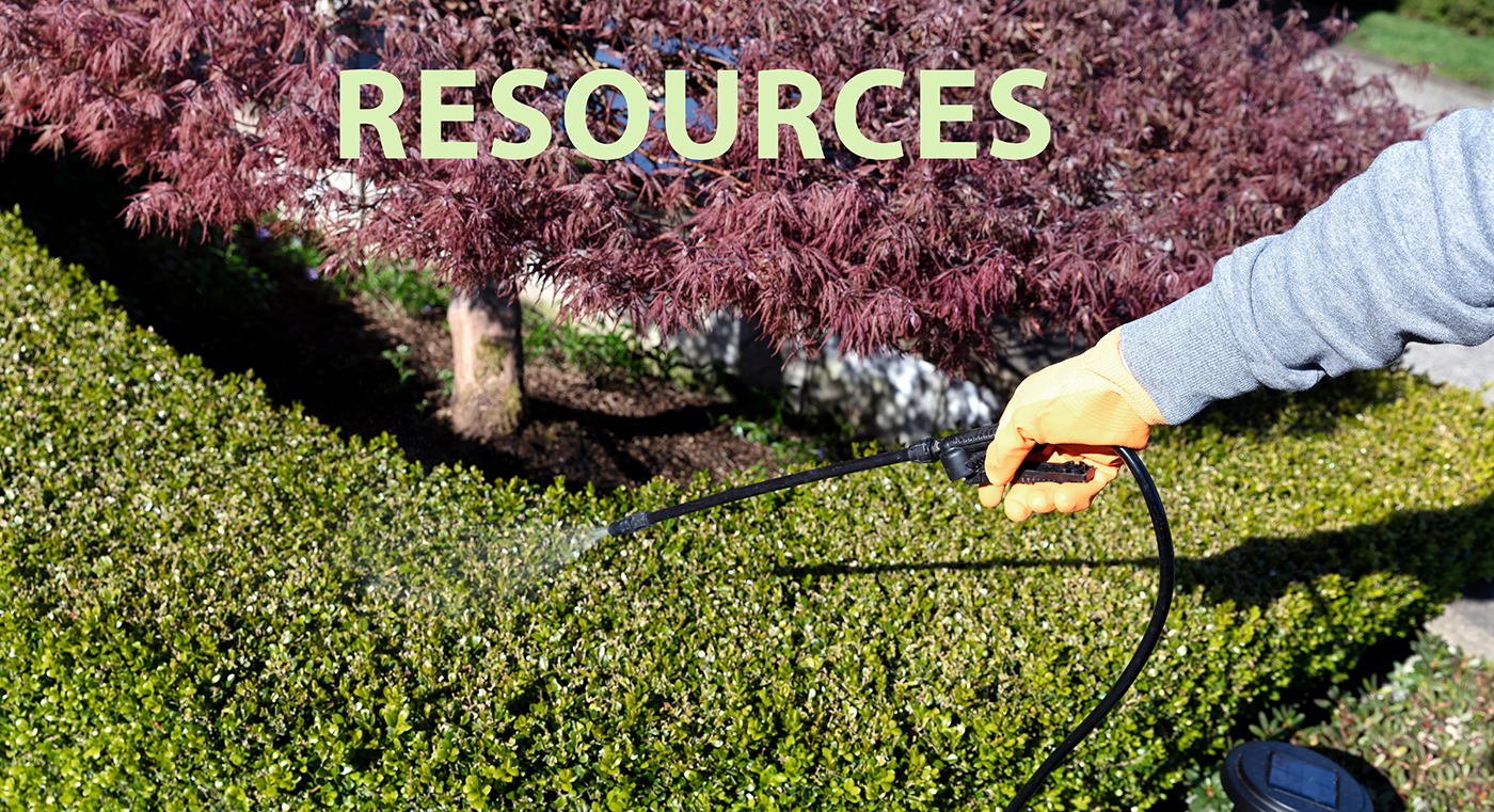 Gloved hand using sprayer on shrubs for fertilizing, insecticide