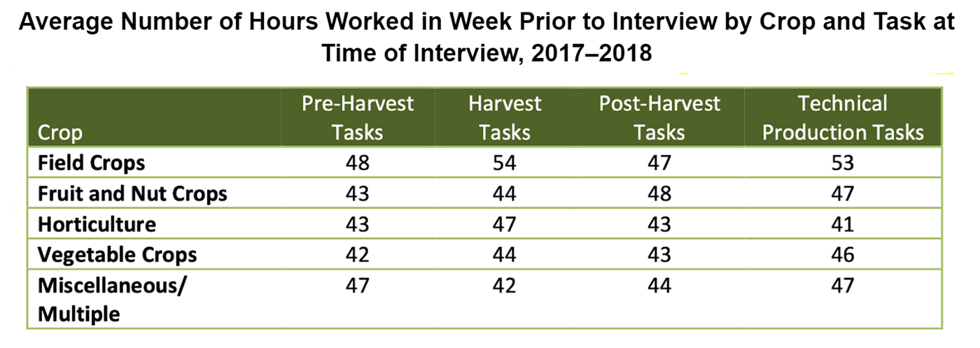 TABLE_Average Number of Hours Worked in Week Prior to Interview by Crop and Task at Time of Interview_2017-2018