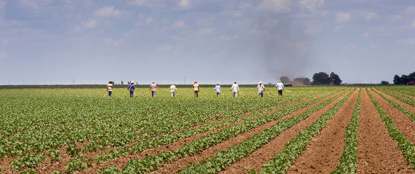 Texas farm