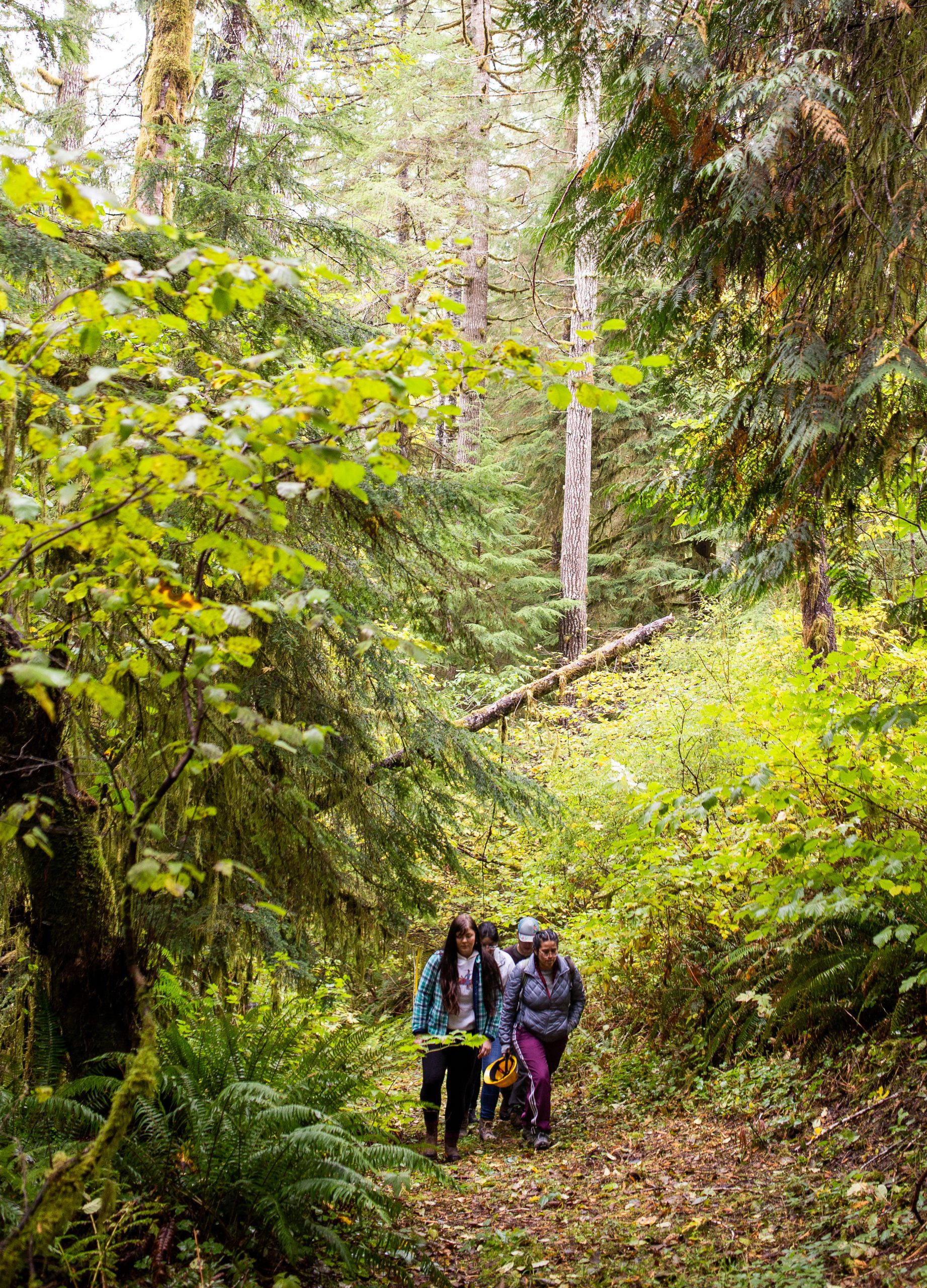 10-19-19_ForestryTour_IMG_0004_Hikers_LS-VERT-CROP