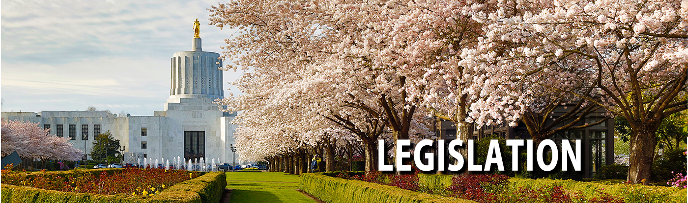 The Oregon state capitol building with daffodils and cherry blos