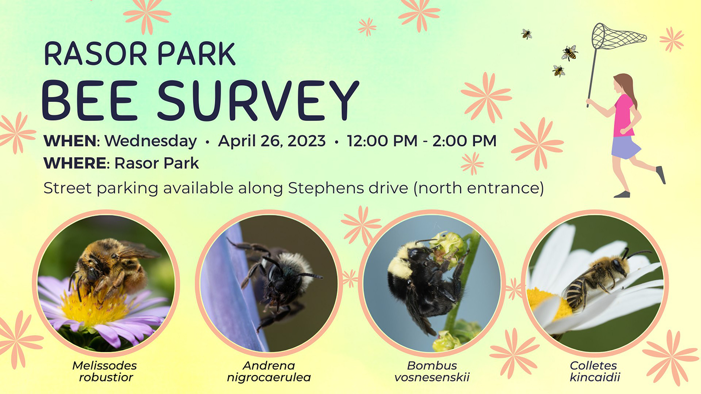 BeeSurvey_RasorPark_April26_2023_1400px