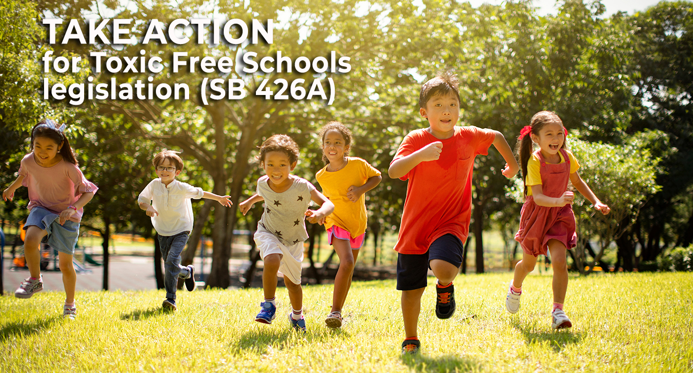 Learn more about SB 426A: Toxic Free Schools! Multi-ethnic group of school children laughing and running