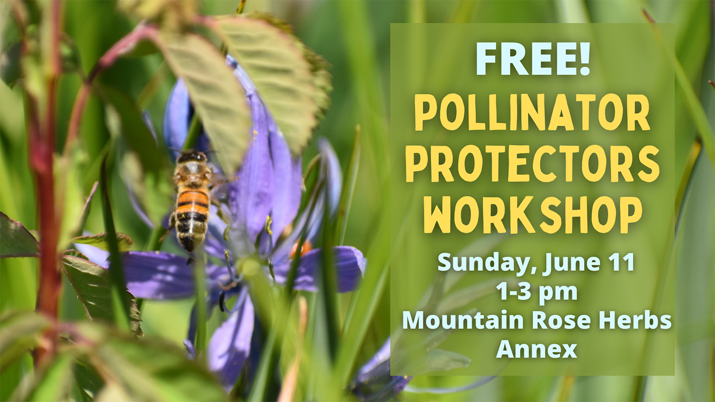 Join us for a Pollinator Protectors Workshop! PollinatorProtectorWorkshop_1400px