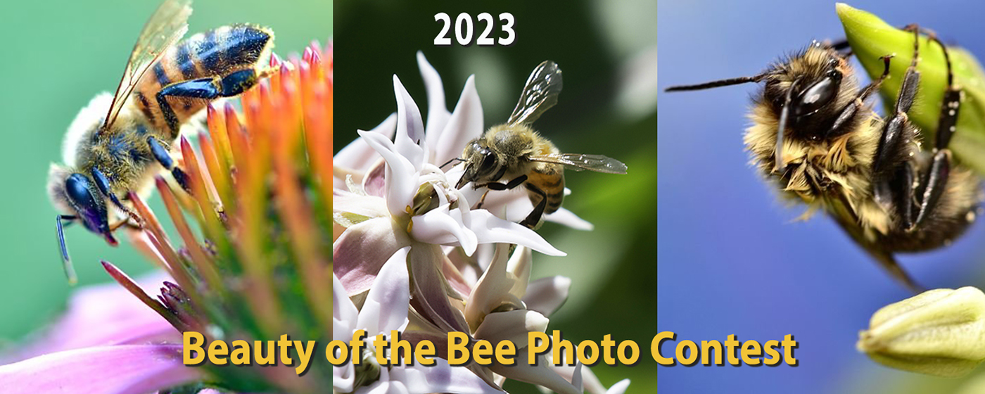 2023_BoftheBee_PhotoContest_Banner_1400px