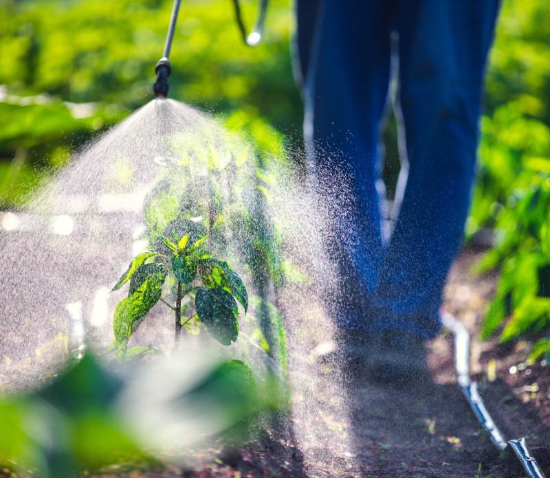 GardenSpraying-CROP_800px_July2023Collection