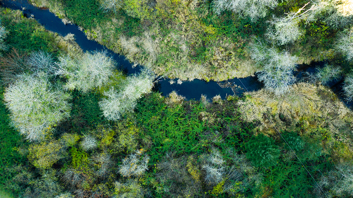 ShadyCreek-aerial-photo_1400px