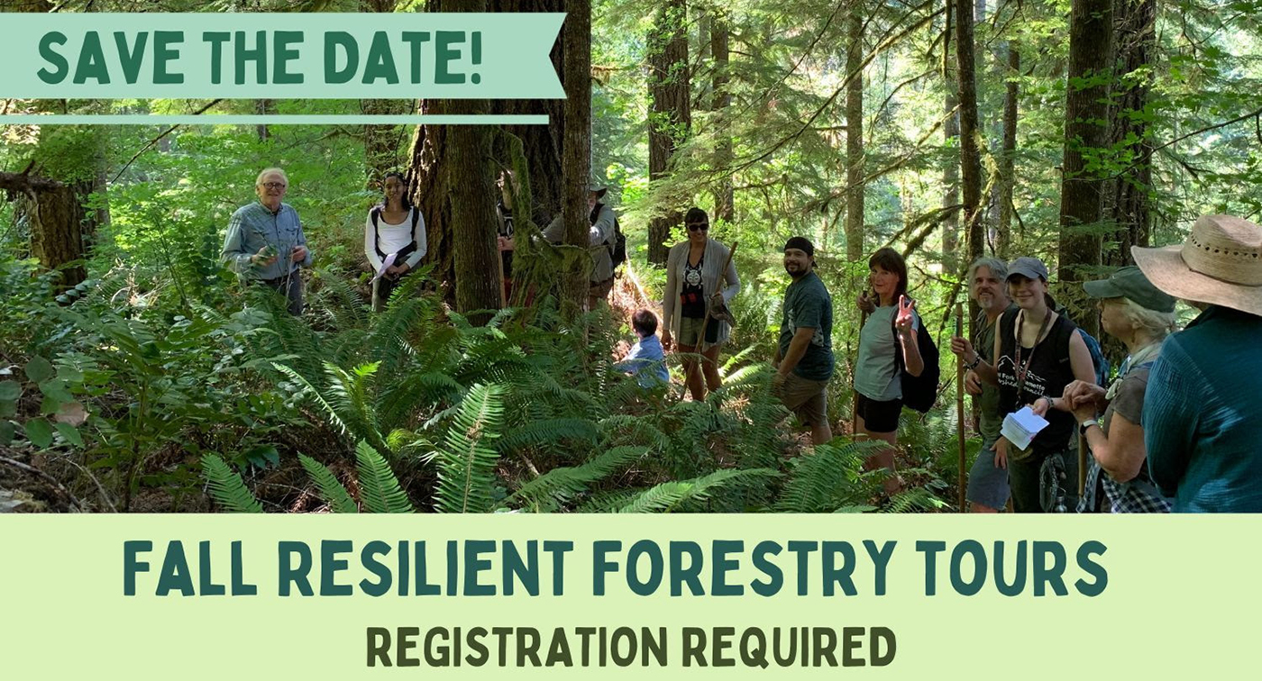 Bee-Dazzle us with your love of bees! Fall2023ResilientForestryTours-BEST