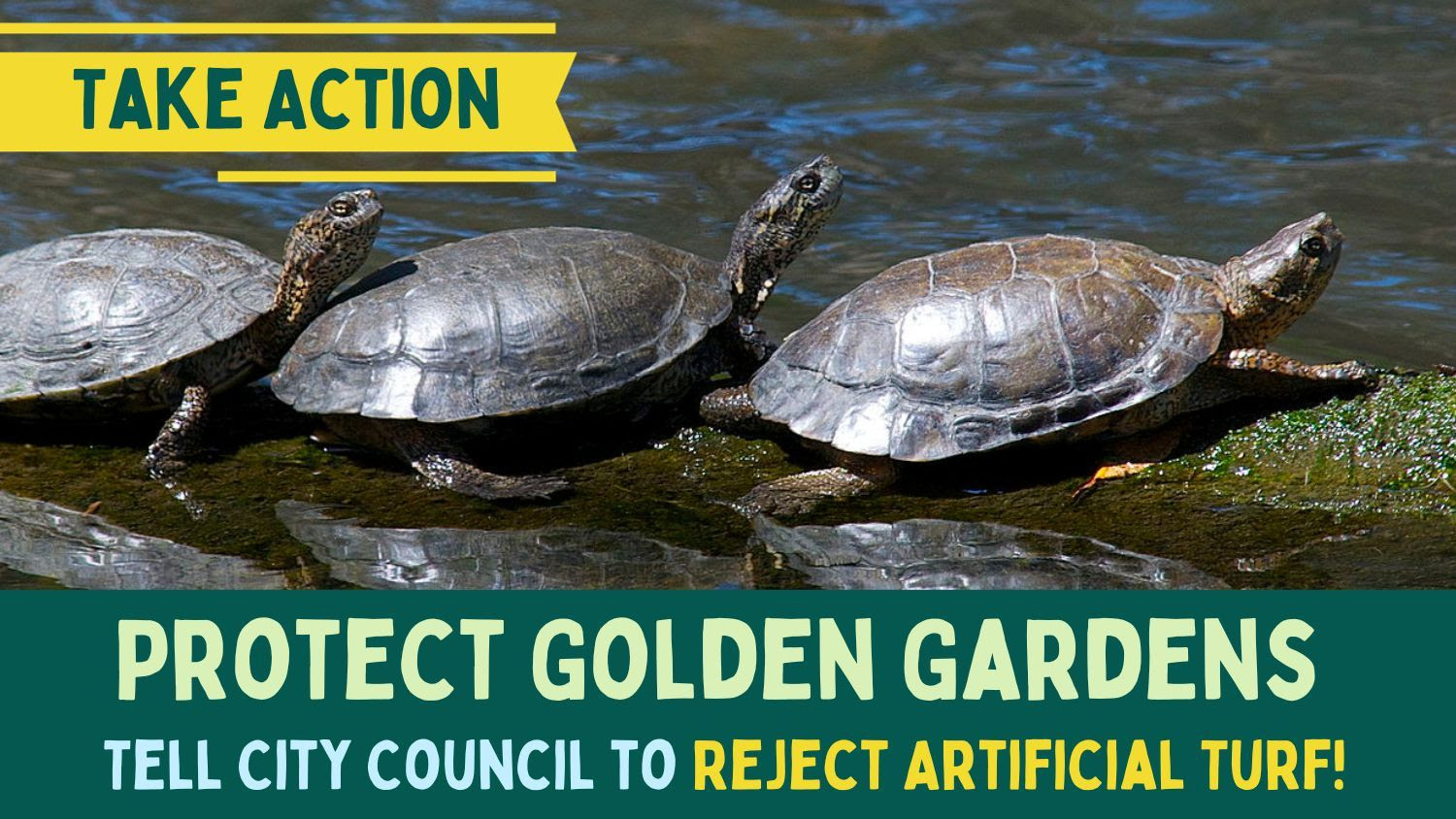 Say NO to plastic artificial turf at Golden Gardens Park! GG_Banner_Email