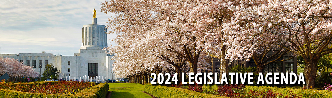 The Oregon state capitol building with daffodils and cherry blos