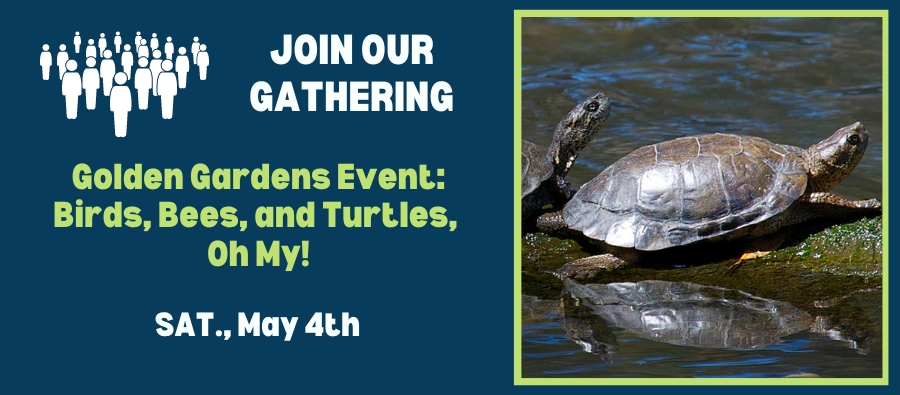 Birds, Bees, and Turtles, Oh My_EventBanner