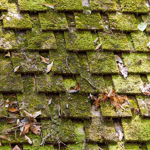 Moss Killer