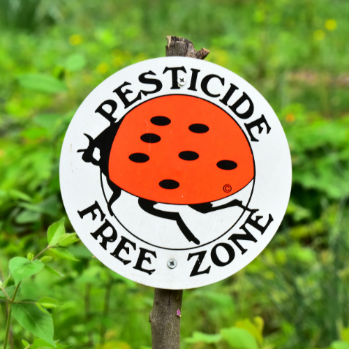 Pesticide DIY