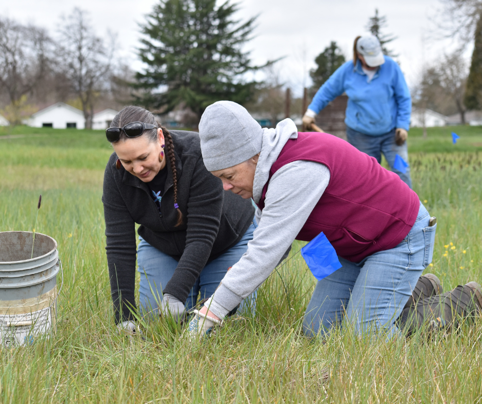 Two volunteers knelt in the grass.
