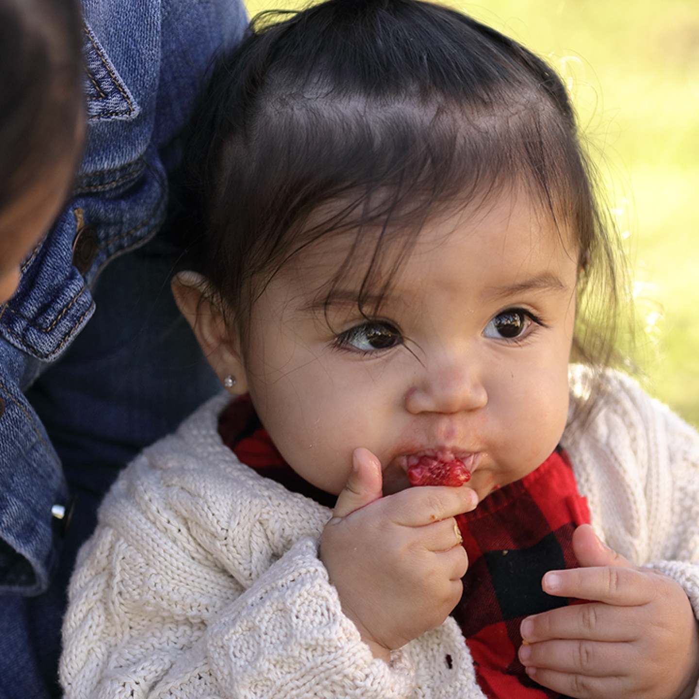 Baby_eating_strawberry_SQ-ish_Chlorpyrifos