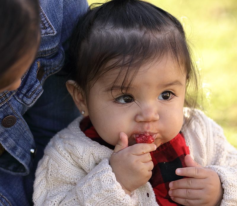 Baby_eating_strawberry_SQ-ish_Chlorpyrifos
