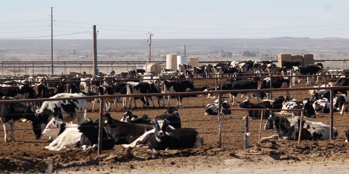 Regulate dairy air emissions in the state of Oregon Beyond Toxics