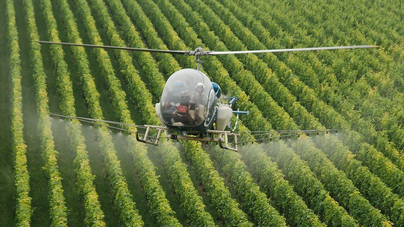 Hubschrauber im Weinberg