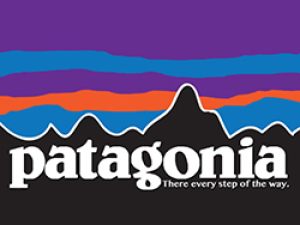 Patagonia_logo_250px
