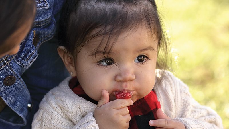 Victory! Our work to restrict the use of chlorpyrifos was a success! Baby_eating_strawberry_LG-ADJ-CROP_800x600