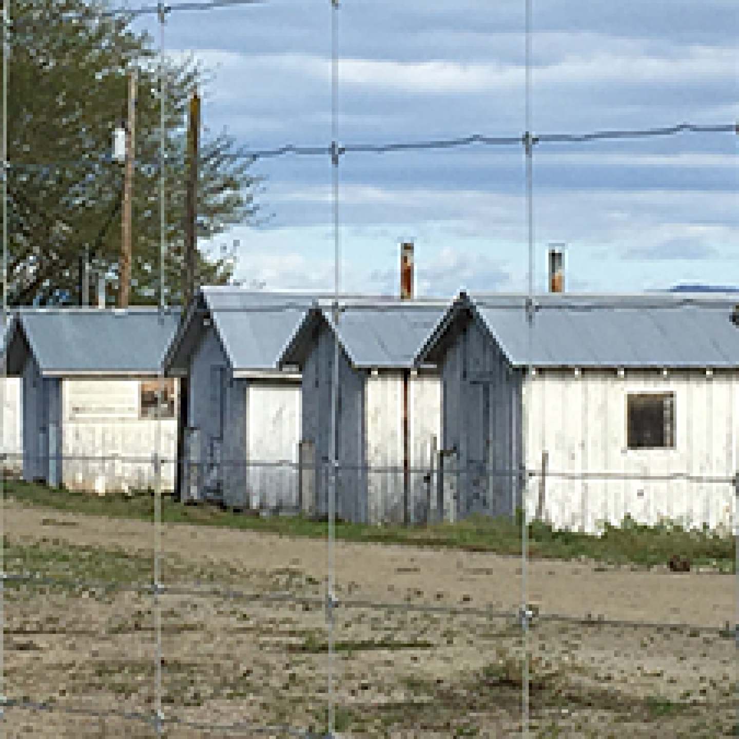 Slave Training Farm