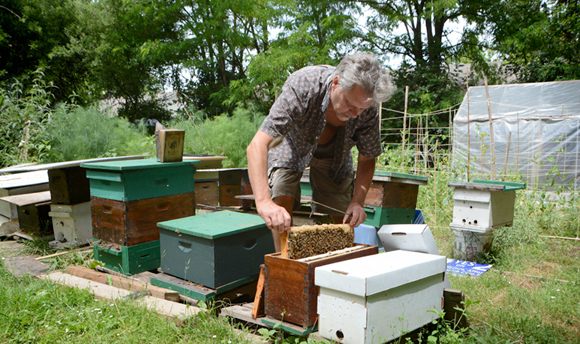 Philip Smith with his hives - summer, 2013