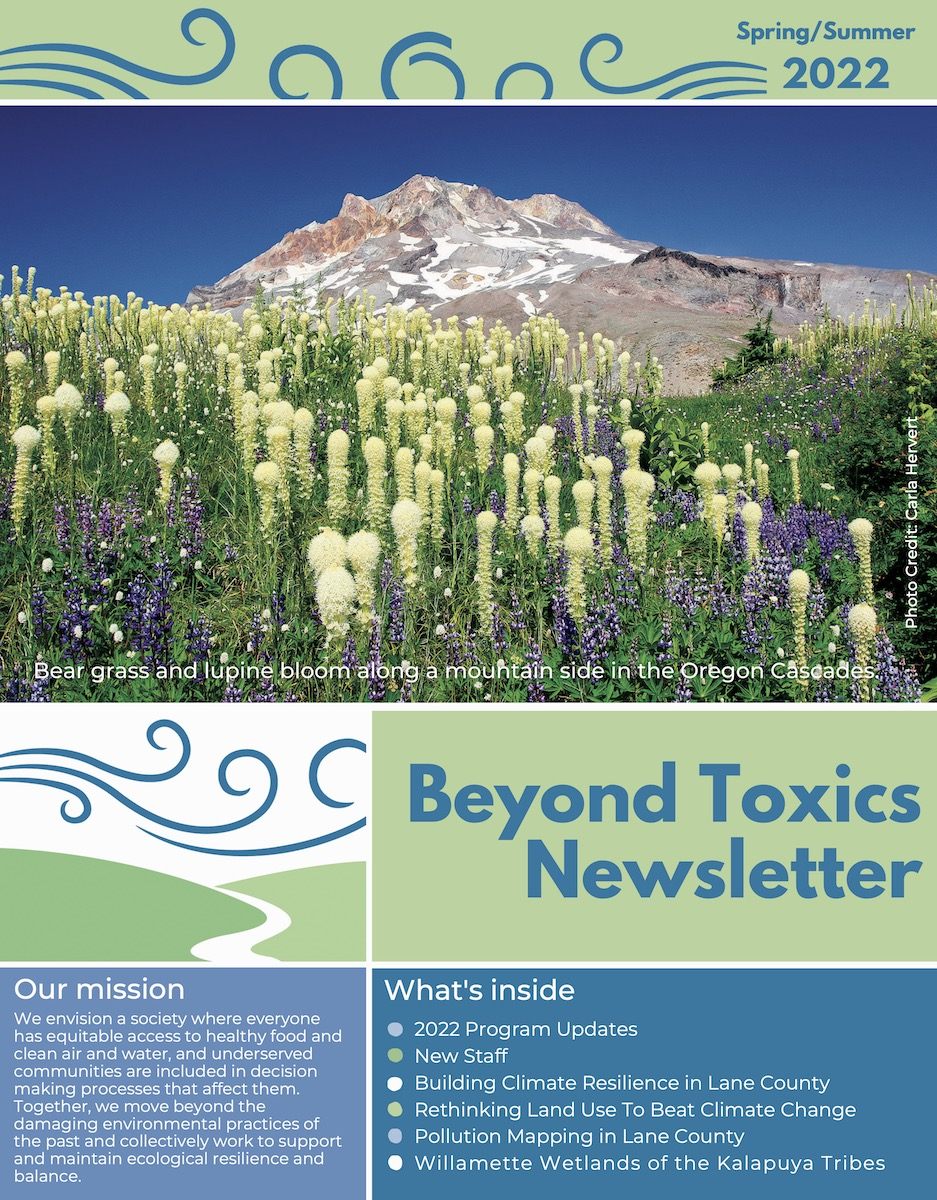 BeyondToxics_2022_SpringNewsletter_FINAL-cover
