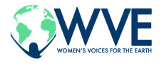 WVE_LOGO