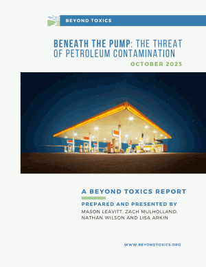 Beneath the Pump Cover Image-1