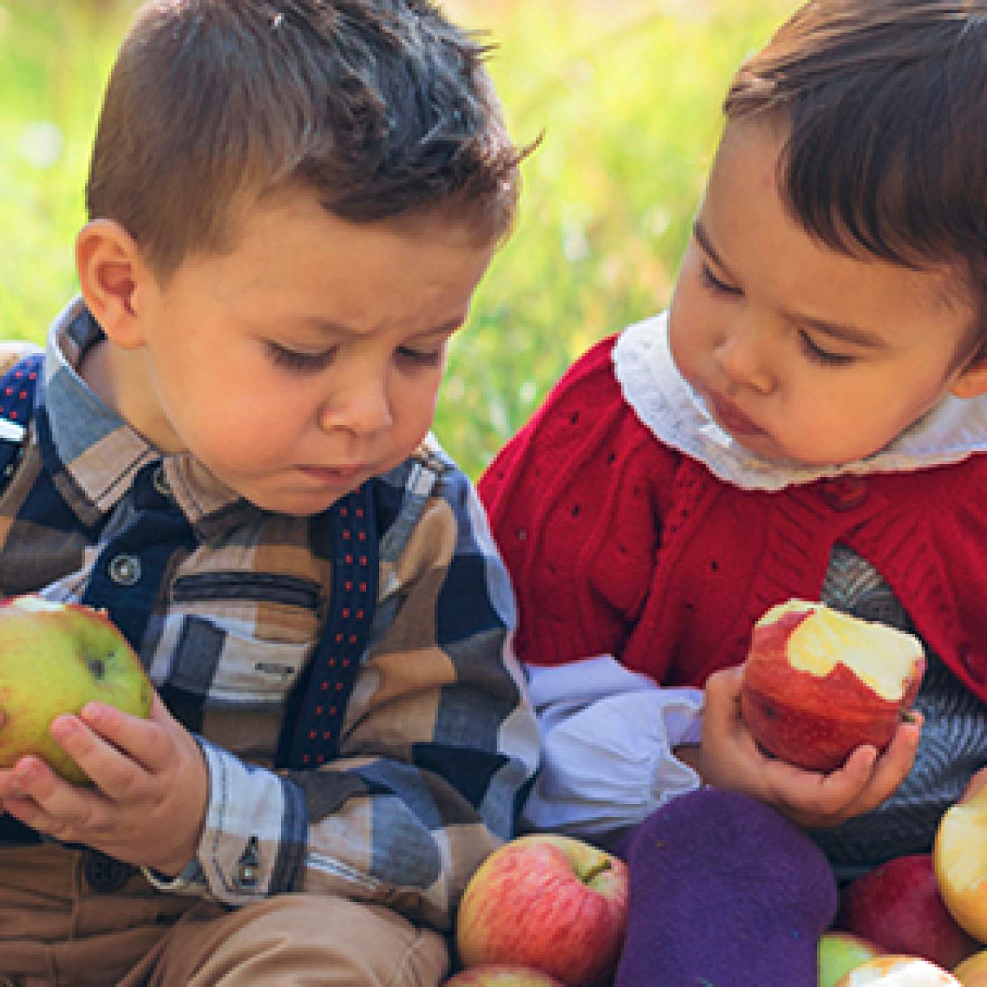 Kids_w_apples-BEST-CROP_600px