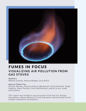 Fumes in Focus Cover Image