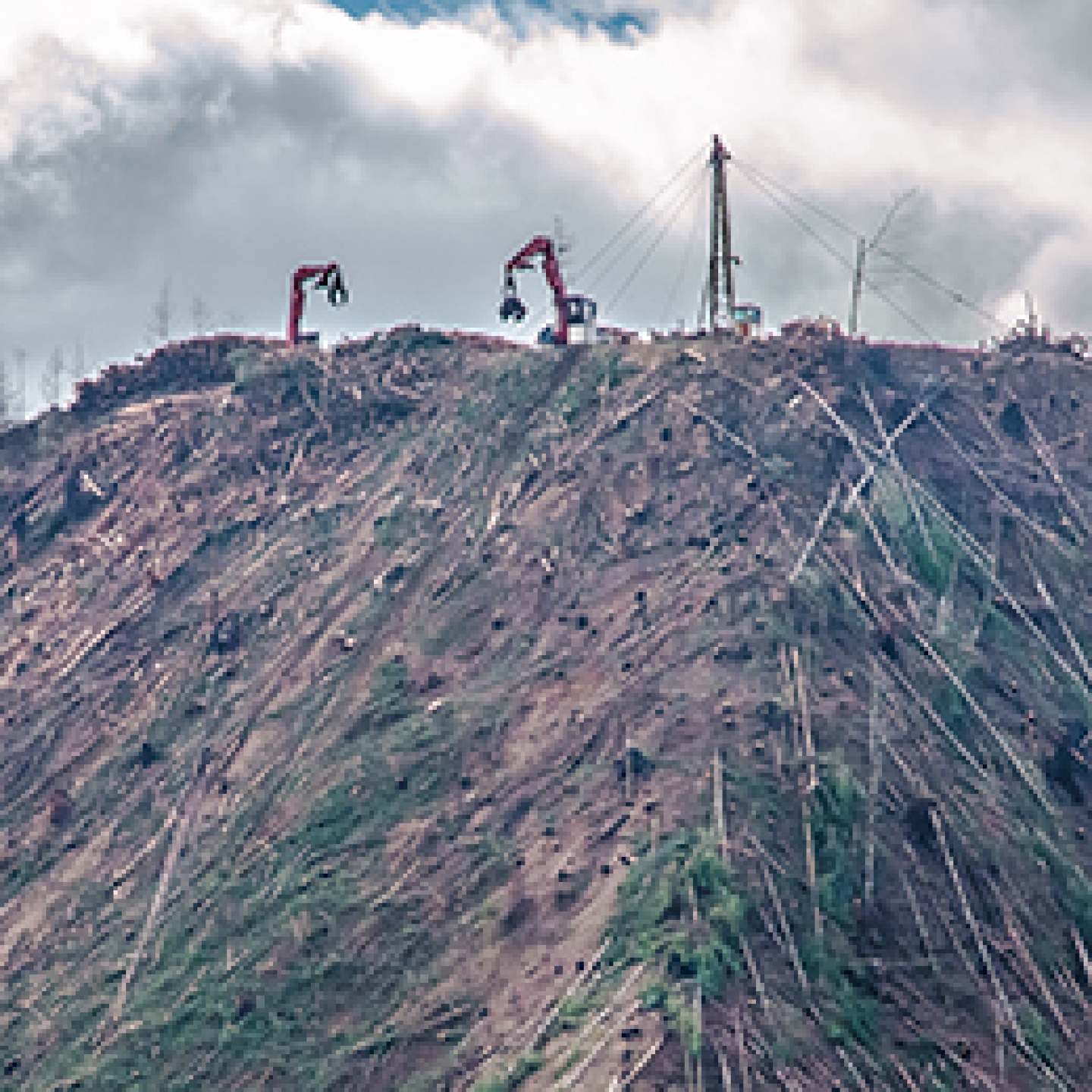 Section8-acitve-logging-at-headwaters-of-OxbowCreek_CROP_600px