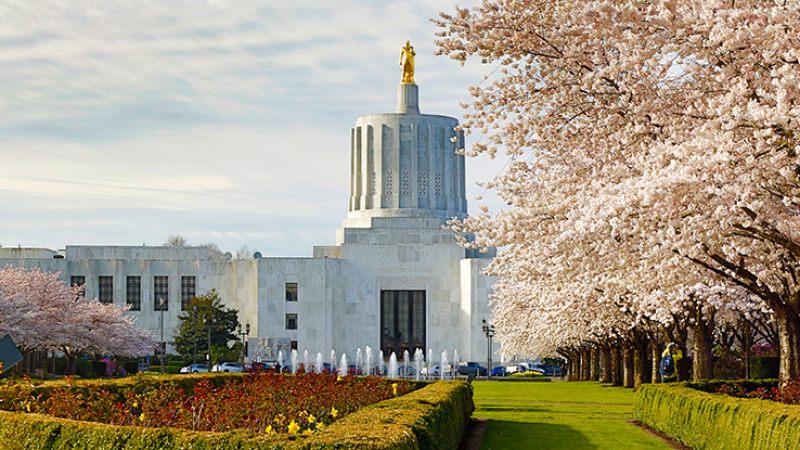 The Oregon state capitol building with daffodils and cherry blos