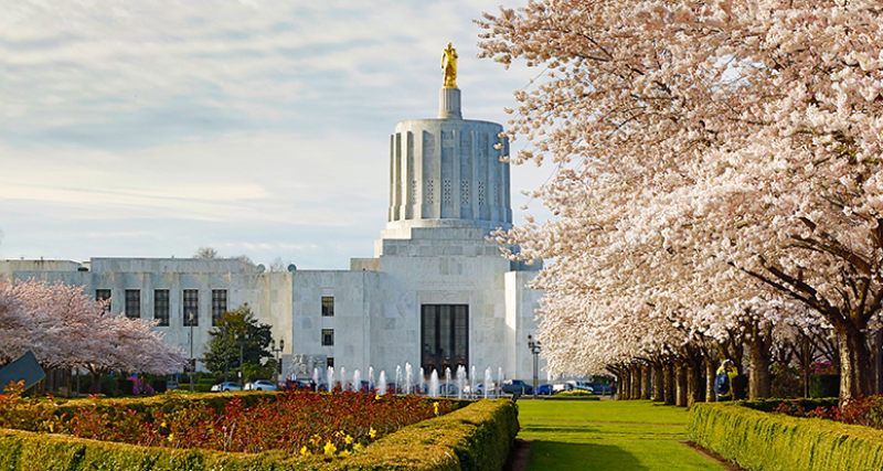 The Oregon state capitol building with daffodils and cherry blos