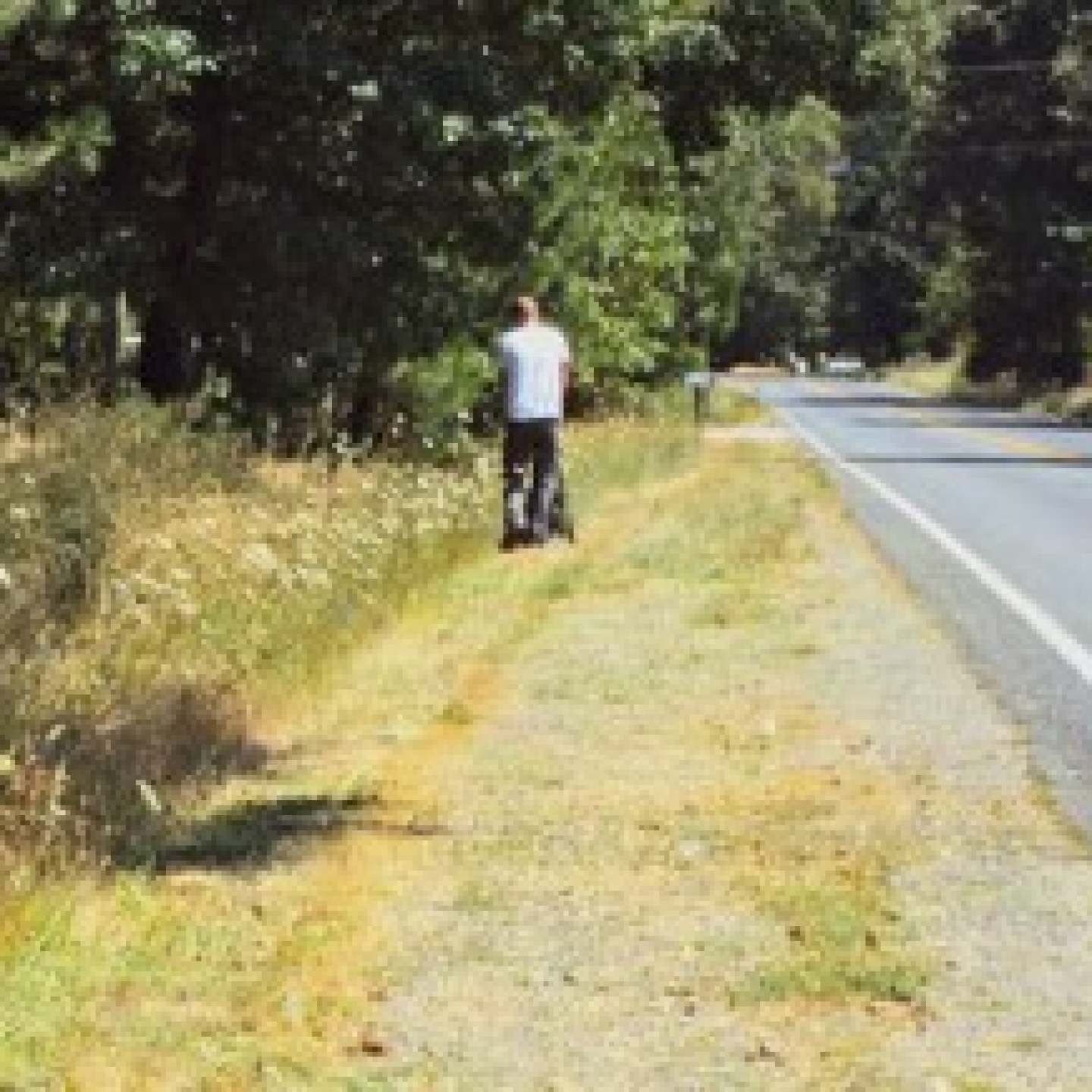 Jeb_push_mowing_CedarFlatRd_WilliamsMowDay-300x217