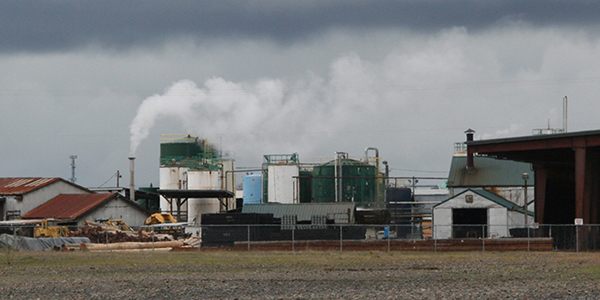 BaxtersPlumeBEST_chemical-released_v2_IMG_3069-CROPPED_600x300px