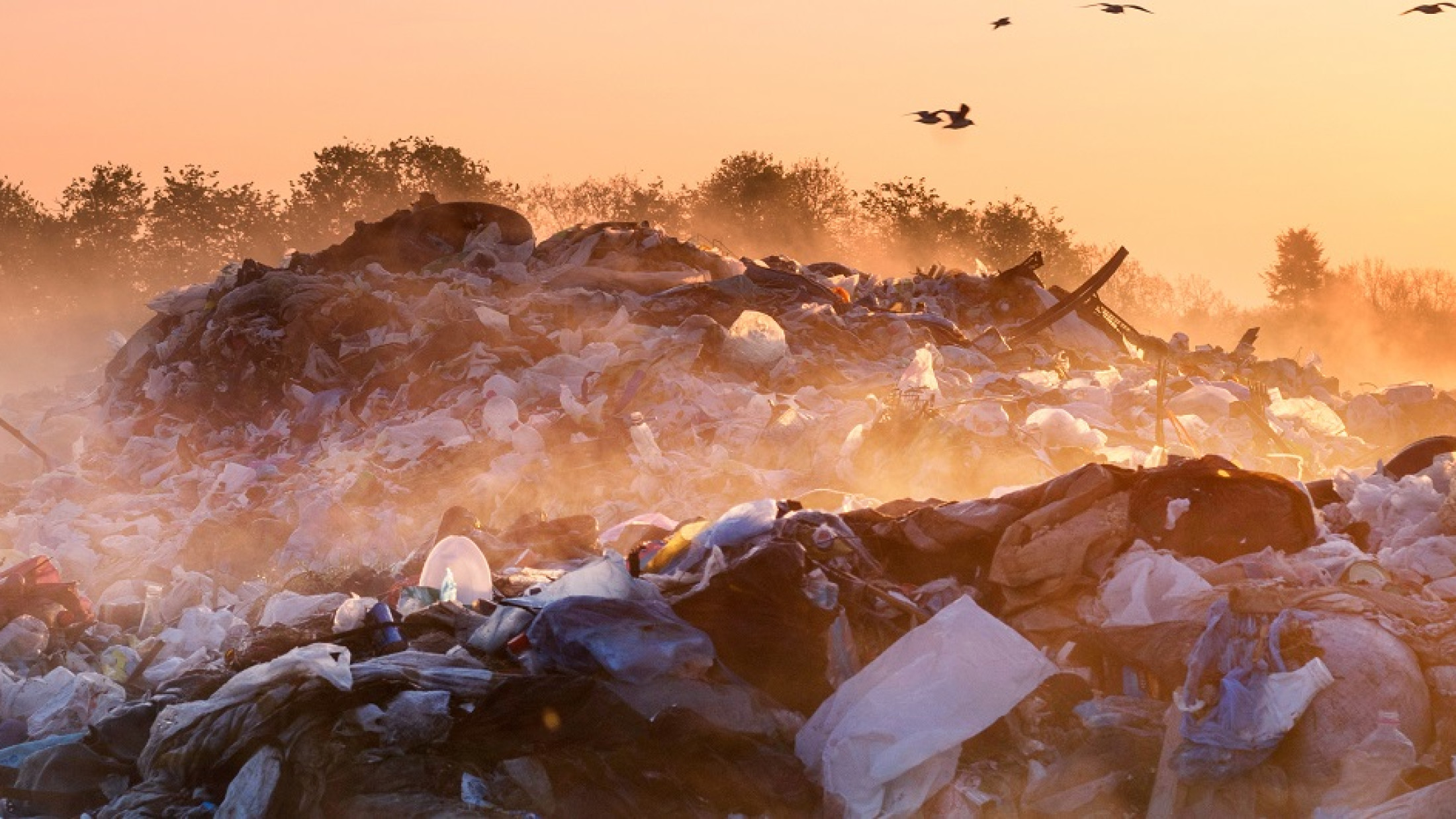 Sunrise Sun above the ocean of garbage