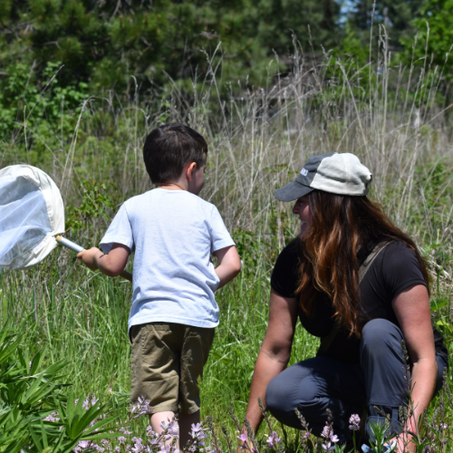 Bee Survey SQ (1)