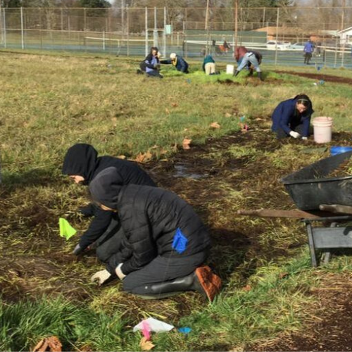 Westmorelands Work Party