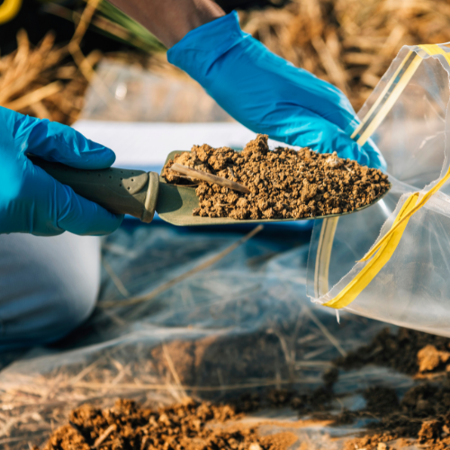 soilSHOP