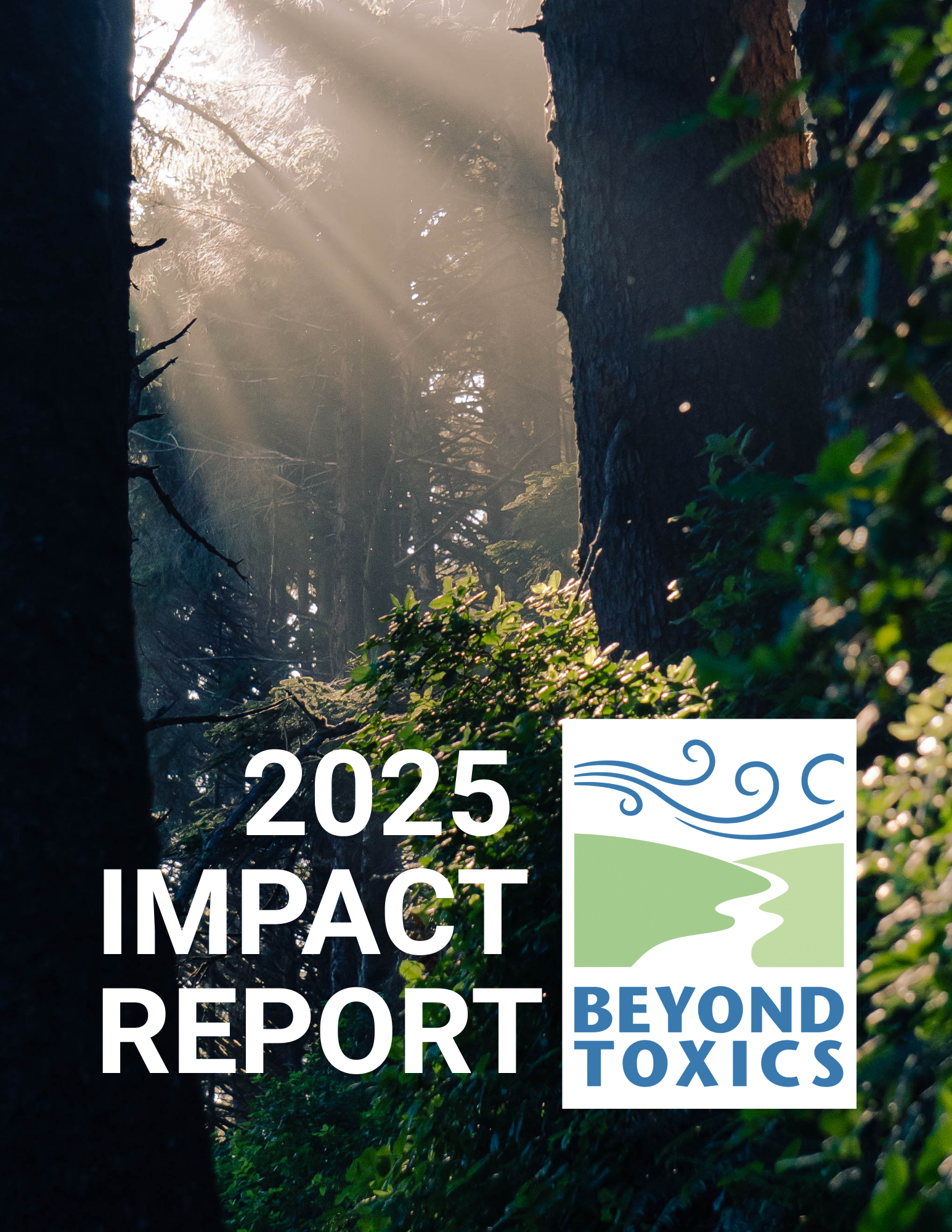 2025 Impact Report Cover